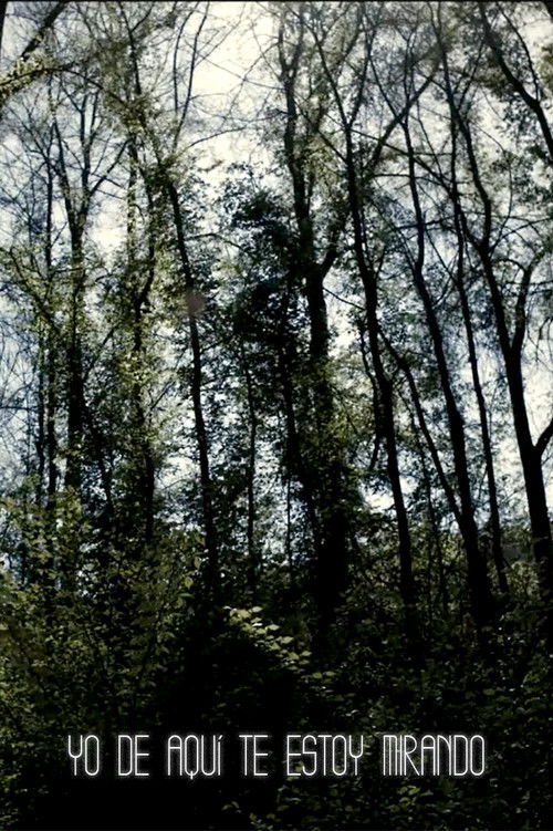 I'm Always Looking from Here (2011) poster