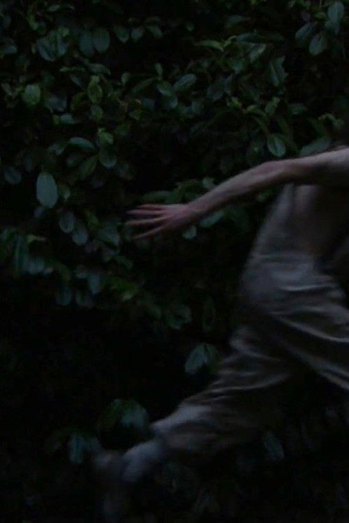 Sputnik (2010) poster