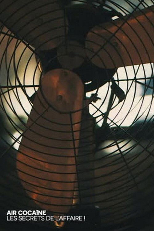 Air Cocaïne : les secrets de l'affaire ! (2020) poster
