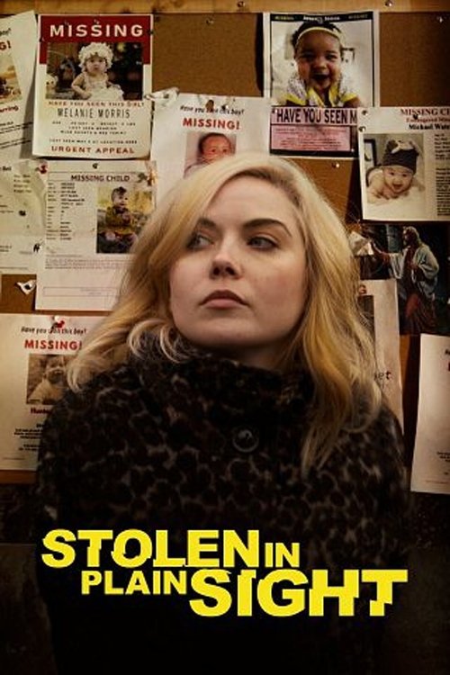 Stolen in Plain Sight (2020) poster