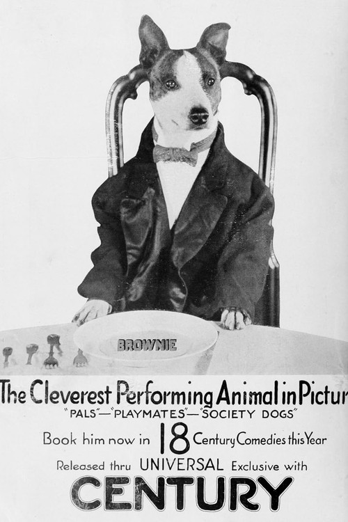 Society Dogs (1921) poster