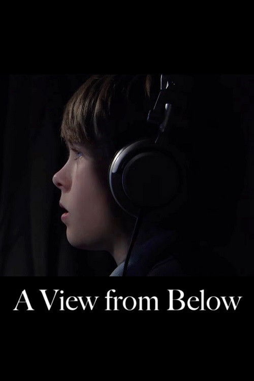 A View from Below poster