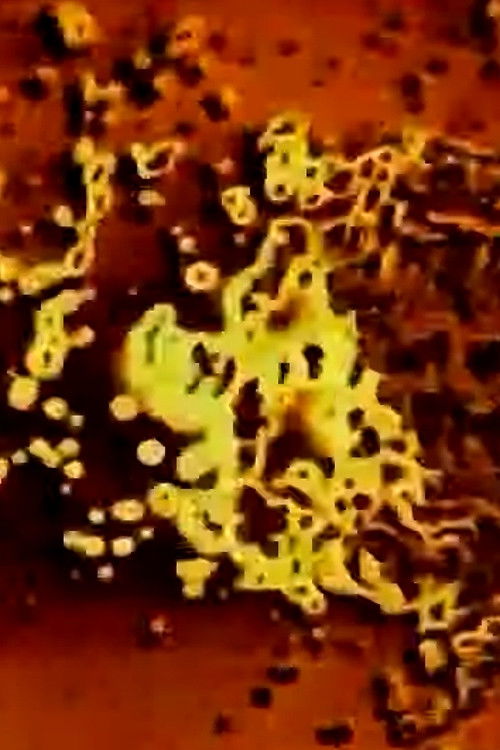 High Voltage (1959) poster