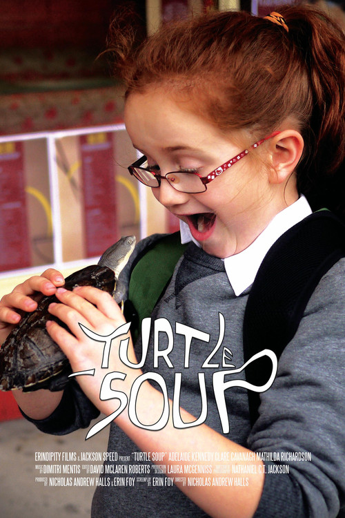 Turtle Soup (2016) poster