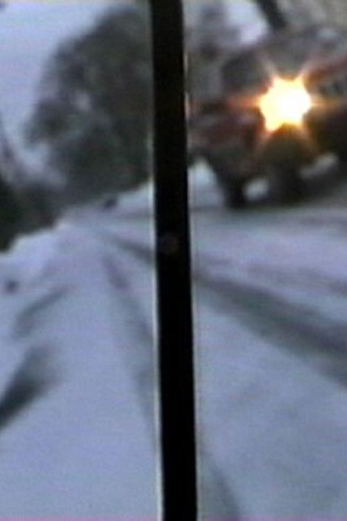 LOOKING BACK TO SEE (2001) poster