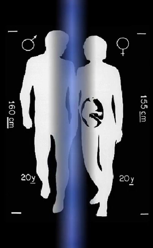 Zuse Strip (2003) poster