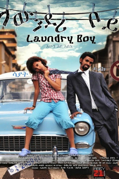 Laundry Boy (2010) poster