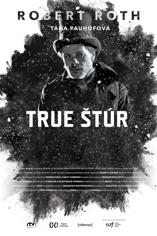 True Štúr (2015) poster