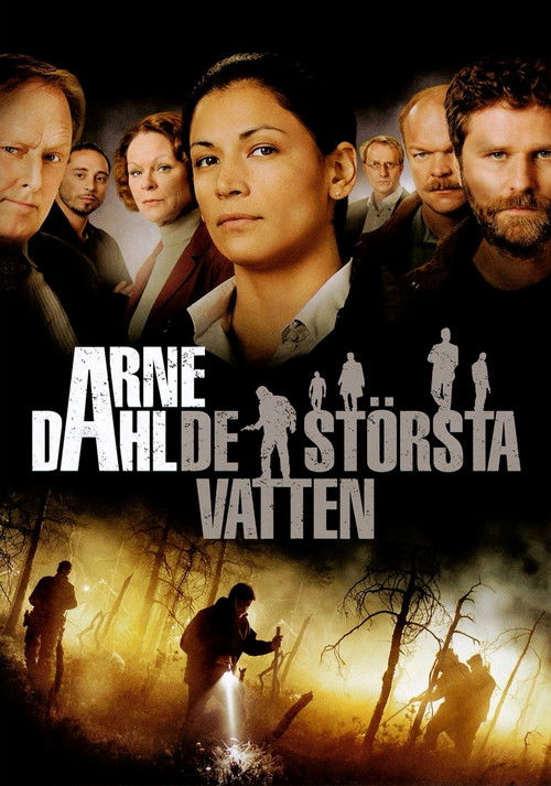 Arne Dahl: De största vatten (2012) poster