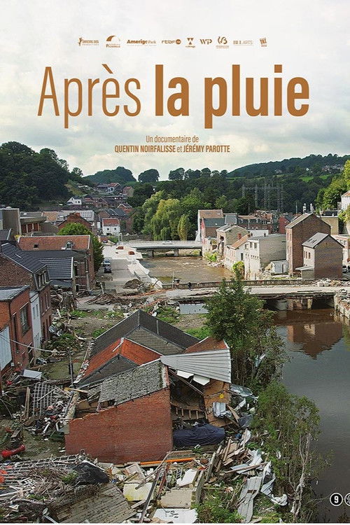 After the rain (2024) poster