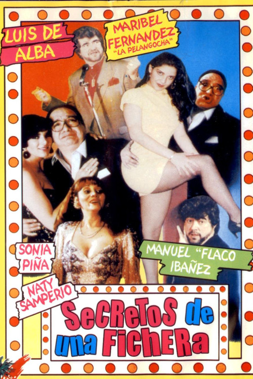 Secretos de una fichera (1993) poster