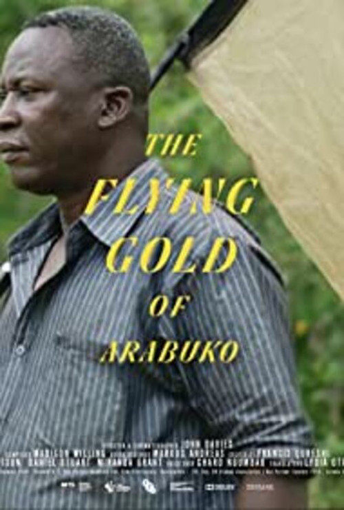The Flying Gold of Arabuko (2020) poster