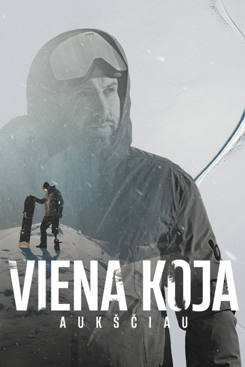 Viena koja aukščiau (2026) poster