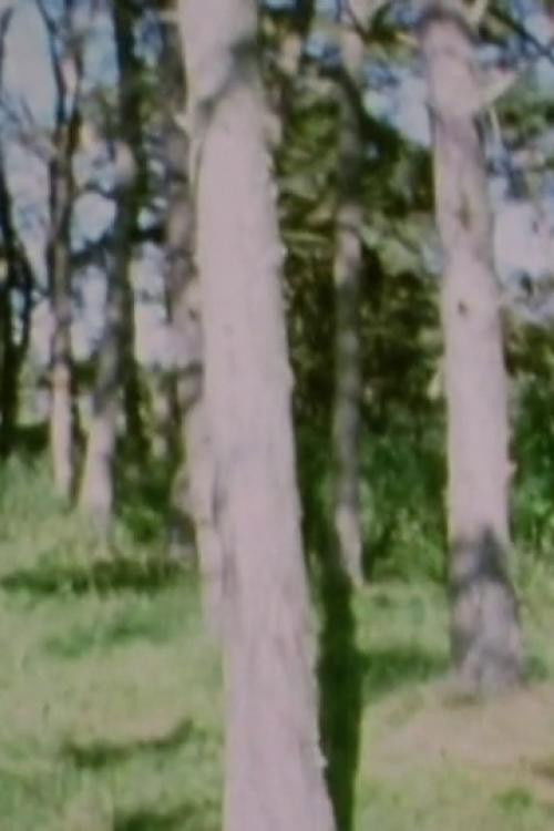 Aeterna melancholia (2013) poster