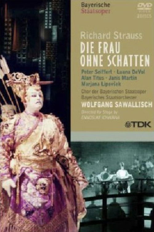 Die Frau ohne Schatten (1994) poster