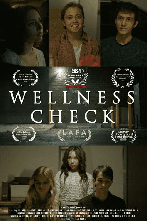 Wellness Check (2024) poster