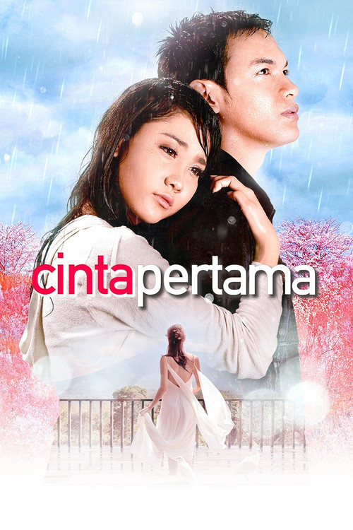 First Love (2006) poster
