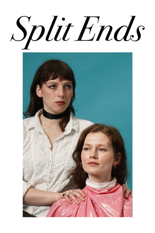 Split Ends (2024) poster