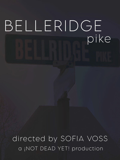 Belleridge Pike (2020) poster