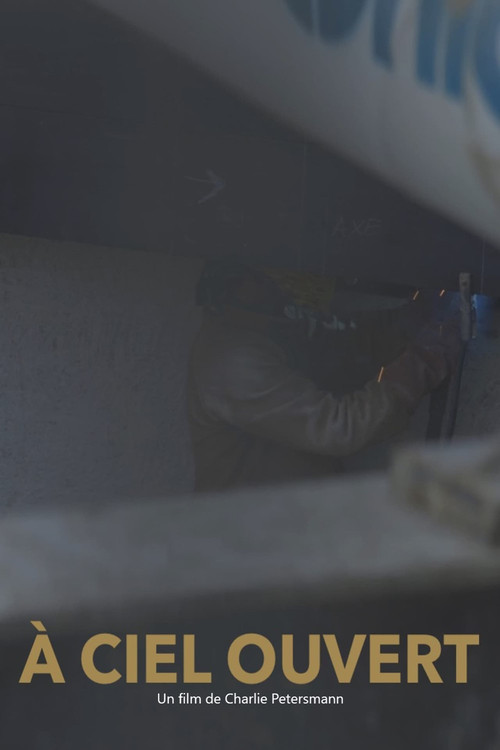 À ciel ouvert (2022) poster