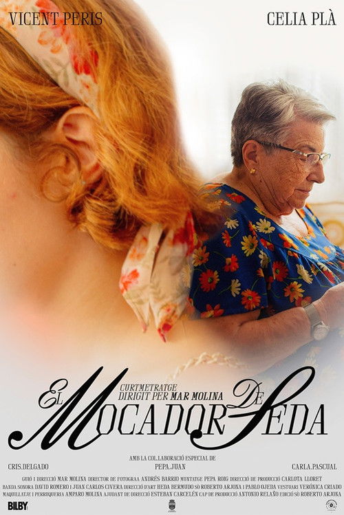 El mocador de seda (2025) poster