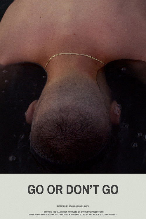 Go or Don’t Go (2019) poster