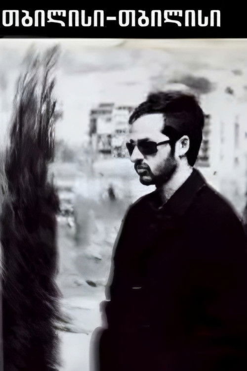თბილისი-თბილისი (2005) poster
