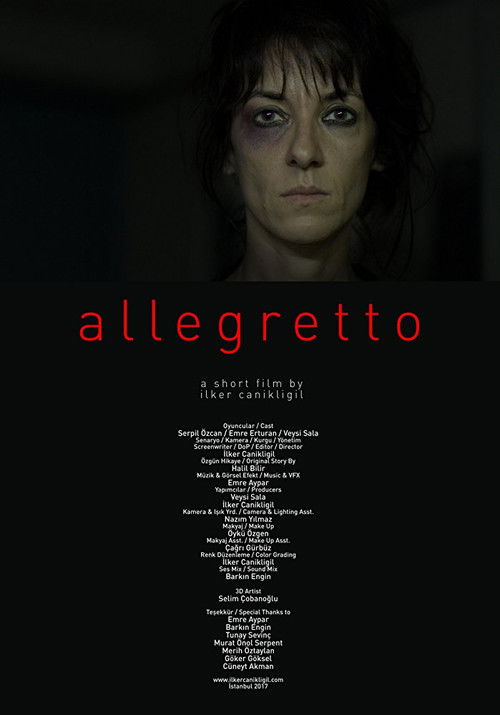 Allegretto (2017) poster