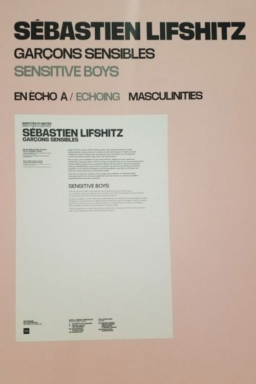 Sensitive Boys (2021) poster