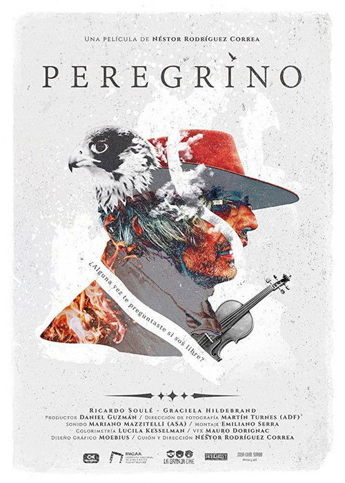 Peregrino (2020) poster
