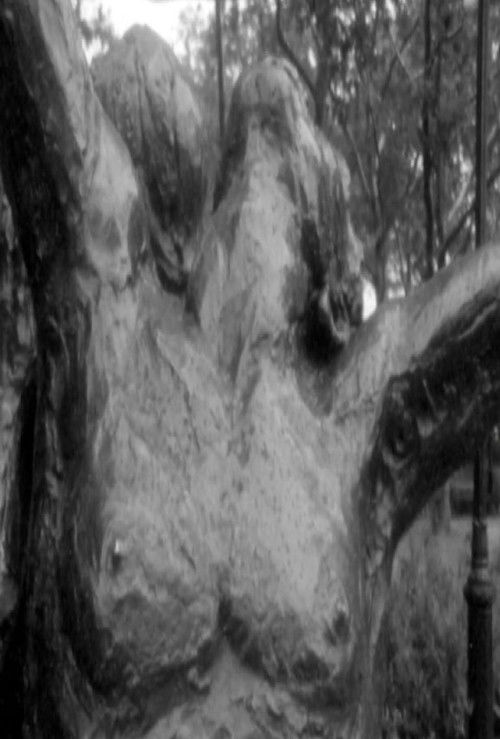 Fuzzy Forests and Looking Across the Stream (2021) poster