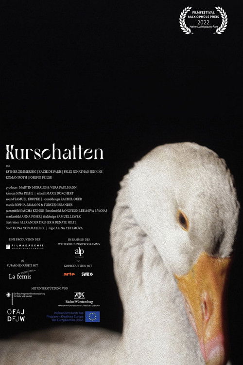 Kurschatten (2021) poster