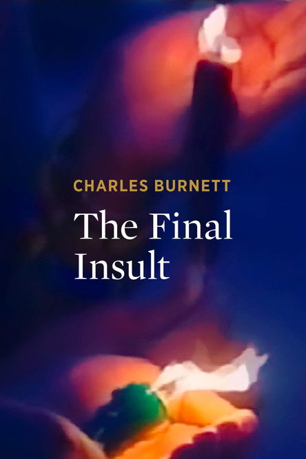 The Final Insult (1997) poster