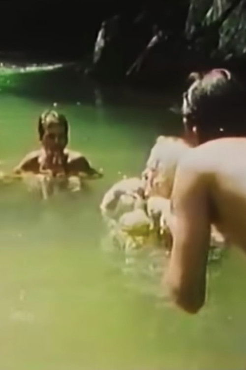 Sinfonia do Alto Ribeira (1985) poster