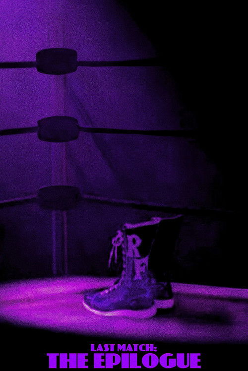 Last Match: The Epilogue (2022) poster