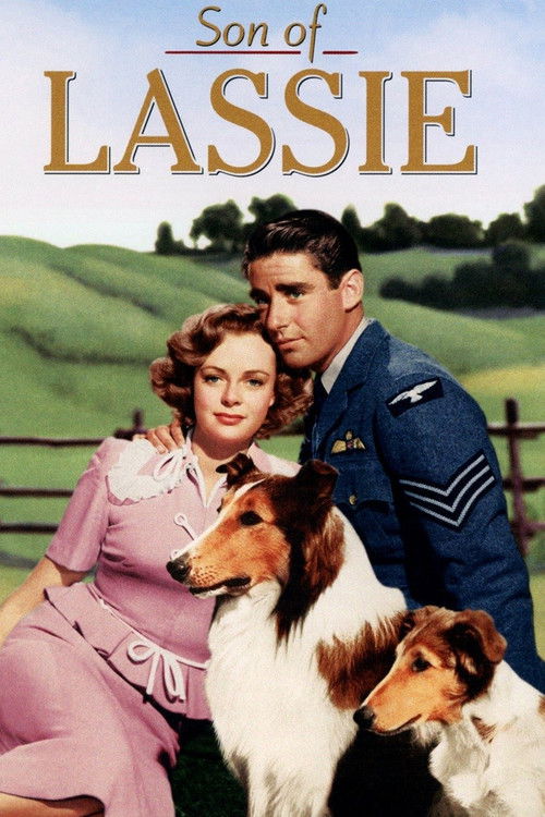 Son of Lassie (1945) poster