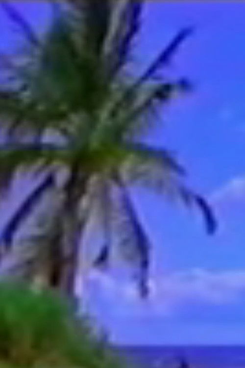 Vexation Island (1997) poster