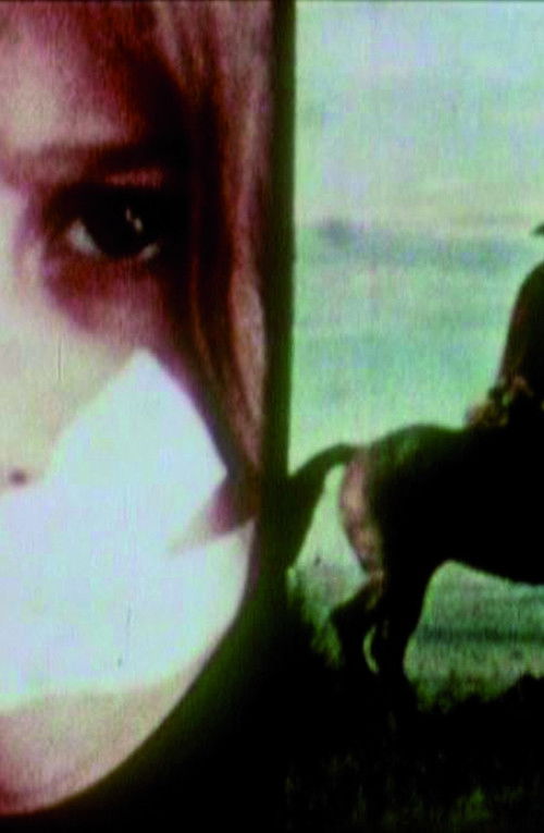 Boy Meets Girl (1978) poster