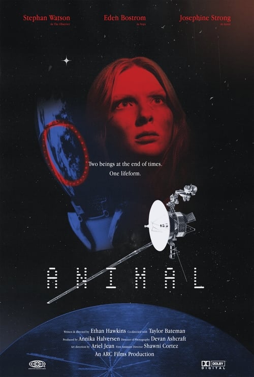 Animal (2024) poster
