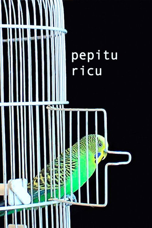 Pepitu Ricu (2008) poster