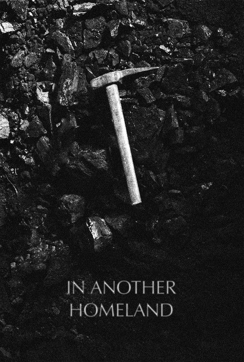 In een ander vaderland (2026) poster