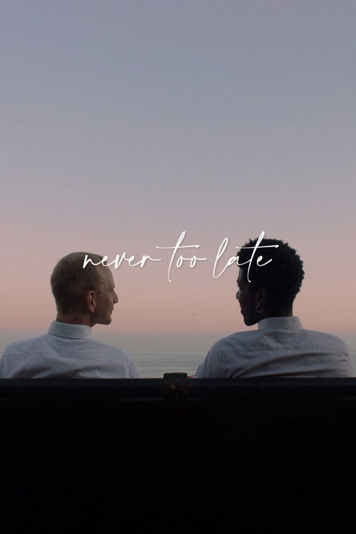 Never Too Late (2021) poster