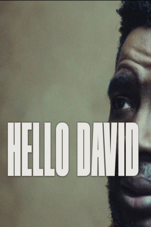 Hello David (2023) poster