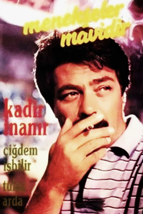 Menekşeler Mavidir (1987) poster