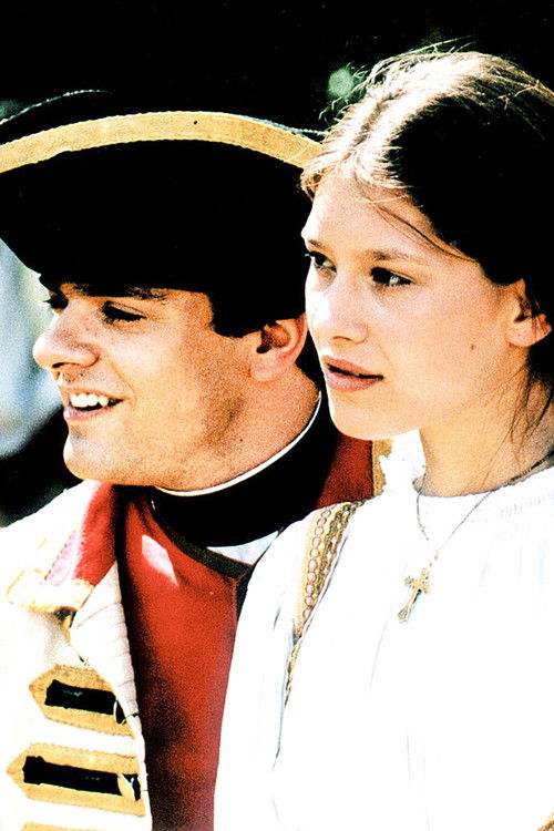 Stříbrný a Ryšavec (1999) poster