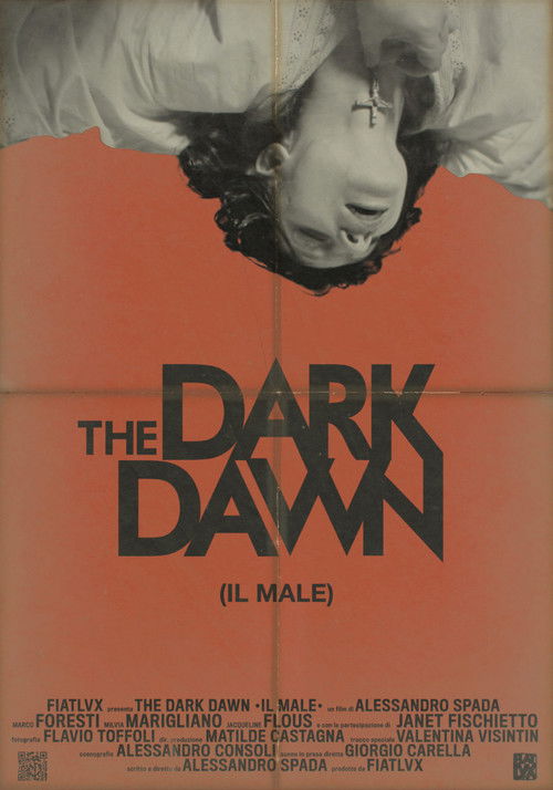 The Dark Dawn (2019) poster