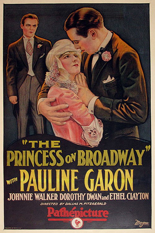 The Princess on Broadway (1927) poster