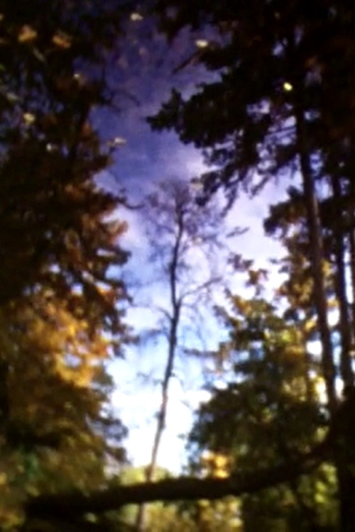 Un automne à Paris (2010) poster