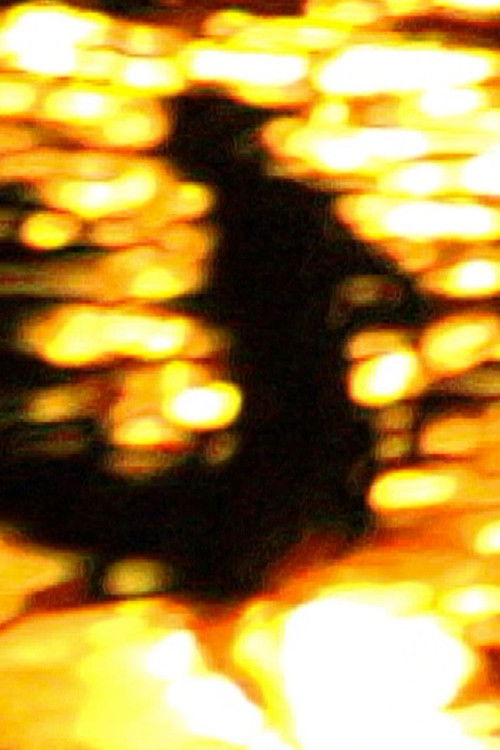 south beach (2002) poster