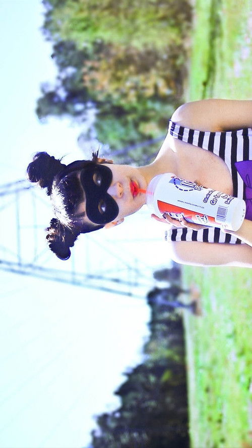 The Misbehaviour of Polly Paper Cut (2013) poster